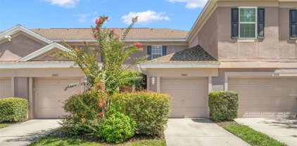 10003 Tranquility Way, Tampa
