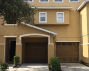 533 Vincinda Crest Way, Tampa image
