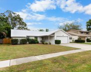 15707 Pony Place, Tampa image
