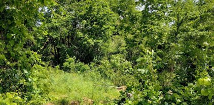 XX Lot #3 Rosboro Loop, Glenwood