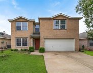9205 Lamplighter  Trail, Fort Worth image