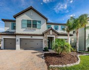 17909 Woodland View Drive, Lutz image