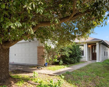 12030 Bach Orchard Trail, Houston