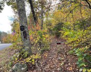 0001 Webster Road, Ellington image