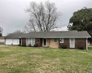 1507 Highpoint Road, Albertville image