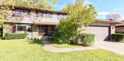 1624 E Crabtree Drive, Arlington Heights