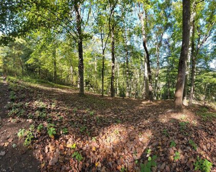 Lot 56 Summerhouse  Dr, Hardy