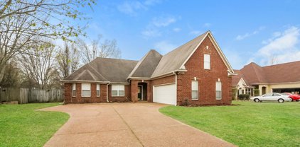 7971 Breezy Meadows Ln, Bartlett