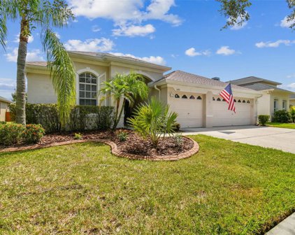 1431 Emerald Hill Way, Valrico