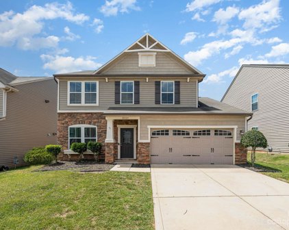 10925 Tailwater  Street, Davidson