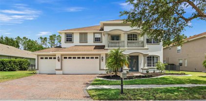 21531 Draycott Way, Land O' Lakes