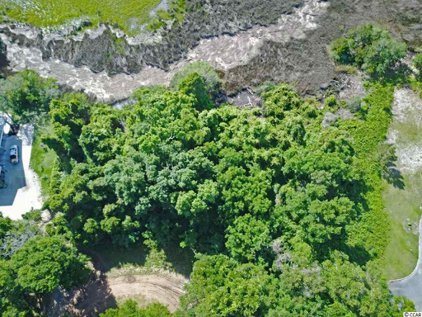 Lots 10 and 11 Pathfinder Ln., Pawleys Island