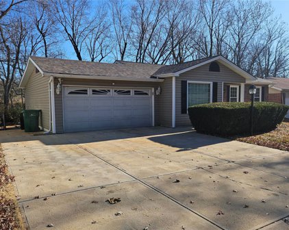11790 El Camara, Florissant