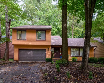 7509 Water Lily Way, Columbia