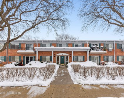 2307 S Goebbert Road Unit #110, Arlington Heights