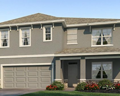 17811 Canopy Place, Lakewood Ranch