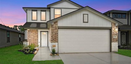 11716 Whirlaway Drive, Willis