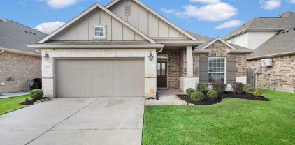 246 Rolling Creek Lane, Dickinson