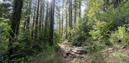 14985 Fern AVE, Boulder Creek