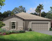 12453 Hilltop Farms Drive, Dade City image