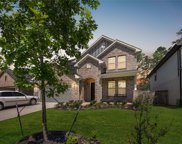 607 Spotted Sunfish Drive, Conroe image