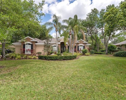 6032 Audubon Manor Boulevard, Lithia