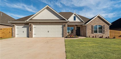 902 Budrio Avenue, Tontitown