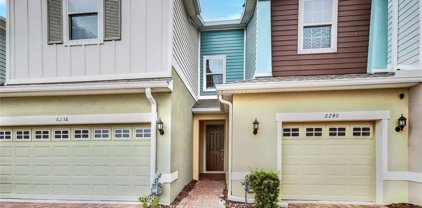 6240 Camino Drive, Apollo Beach