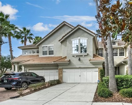 14512 Mirabelle Vista Circle, Tampa