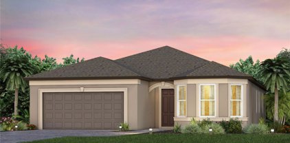 17845 Wind Chime Row, Land O' Lakes