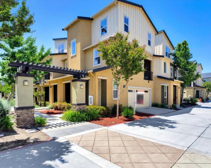 639 Elderberry Drive.,, Milpitas