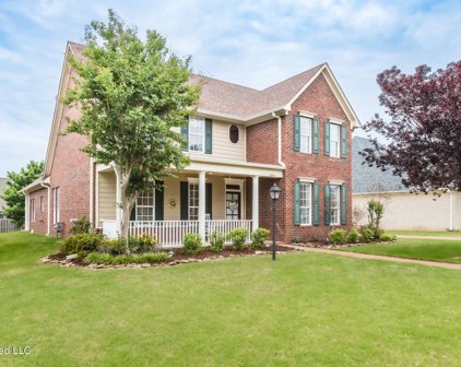 7319 Windsong Drive, Olive Branch