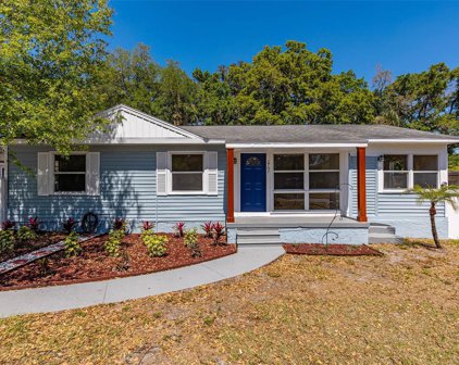 1707 W Perdiz Street, Tampa