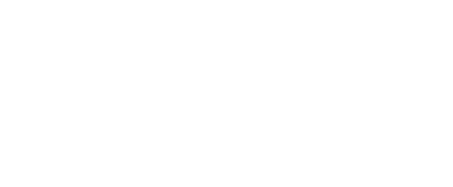 The King Team