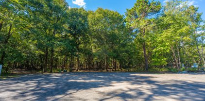4298 Wild Turkey Way, Johns Island
