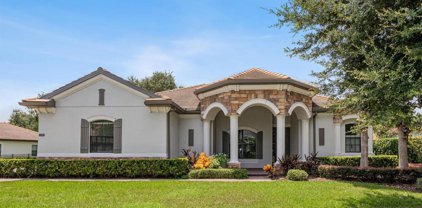 25495 Hawks Run Lane, Sorrento