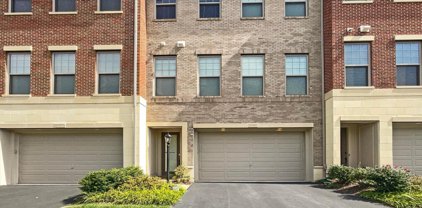 23380 Nantucket Fog Ter, Brambleton