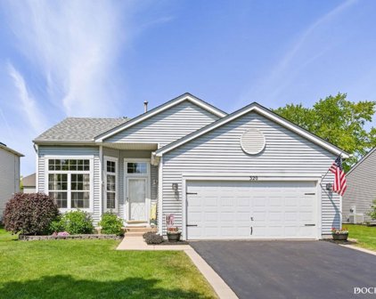 320 Daffodil Drive, Romeoville