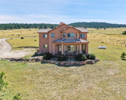 18905 Birdseye View, Peyton