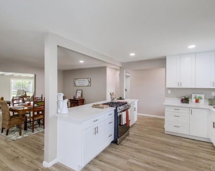 7037 La Sena Avenue, San Diego