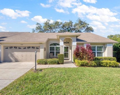 3520 Birkdale Lane, Palm Harbor