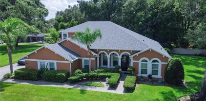 2853 Ponkan Meadow Drive, Apopka
