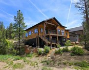 32 Larkspur, Durango image