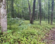 LT112 Uplands Road, Cashiers image