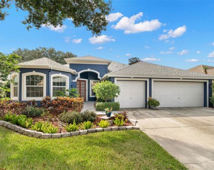 426 Knight Drive, Tarpon Springs