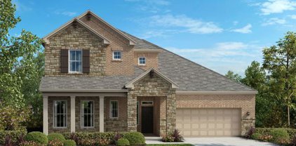 5345 Black Walnut, Bulverde