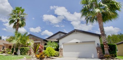 8424 Bluevine Sky Drive, Land O' Lakes
