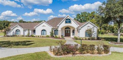 1716 Green Meadow Drive, Lutz
