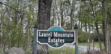 TBD Lot#19 Laurel Mountain Estates Drive, Todd