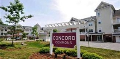 95 Conant Unit 215, Concord